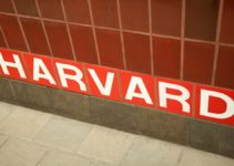 ¿Cuáles son los egresados notables de la universidad de Harvard?