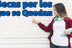 Becas por los que se quedan BBVA