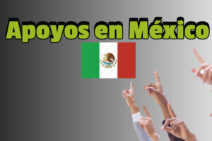 Programas de apoyo del gobierno de México