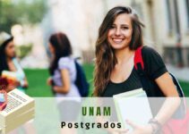 Posgrados en l铆nea UNAM