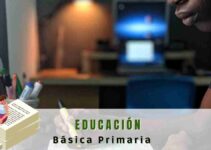 Educación básica primaria en México